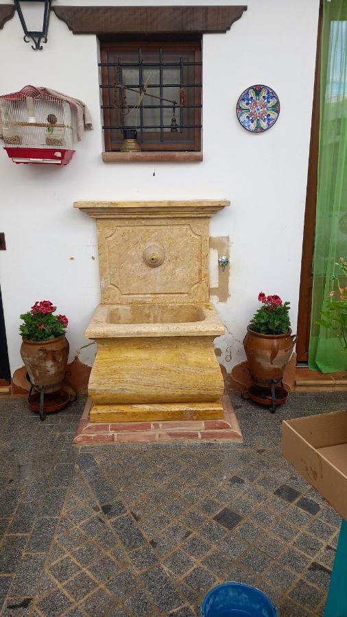 Jardines Del Acebron Pensionat El Rocío Exteriör bild