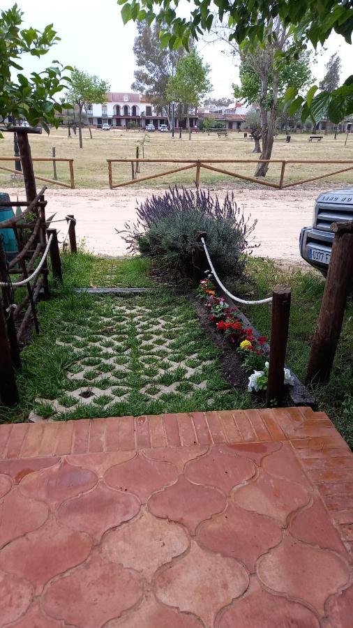 Jardines Del Acebron Pensionat El Rocío Exteriör bild