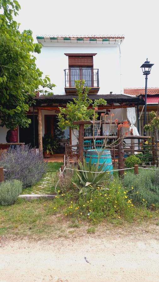 Jardines Del Acebron Pensionat El Rocío Exteriör bild